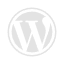 WordPress Business Website Services in USA